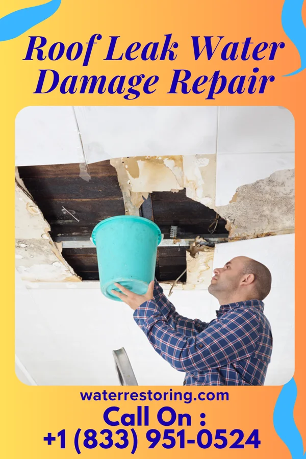 Roof Leak Water Damage Repair in Middle Frisco, NM